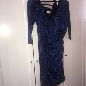 NWT Jennifer Lopez Modern Muse Dress